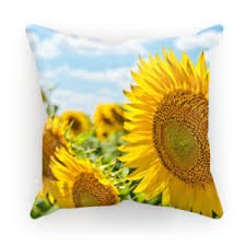 Cushions - Image 20